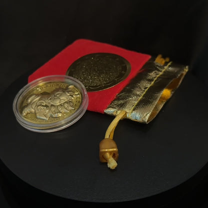 Lucky Golden Coin Health, Wealth and Prosperity